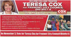 Political Campaigns